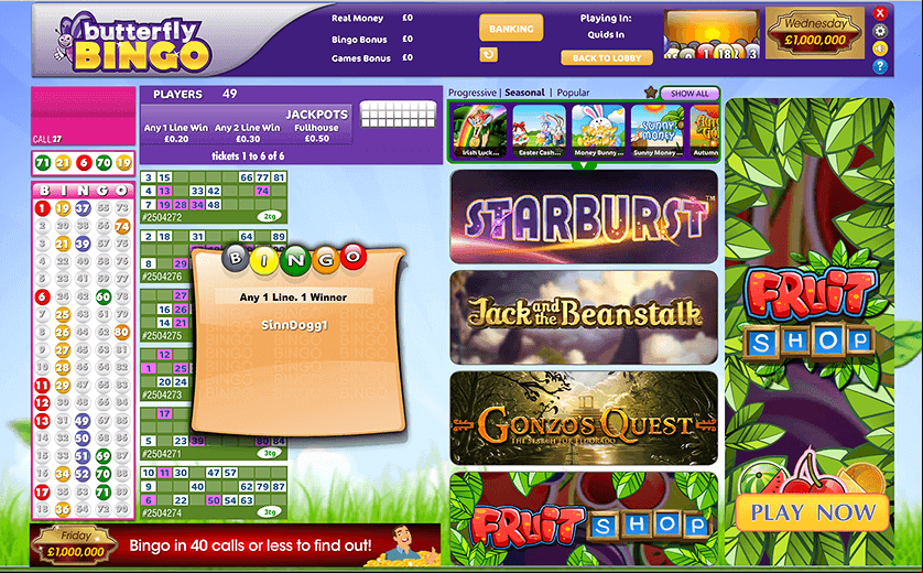A game of 90 balls at Butterfly bingo, large view