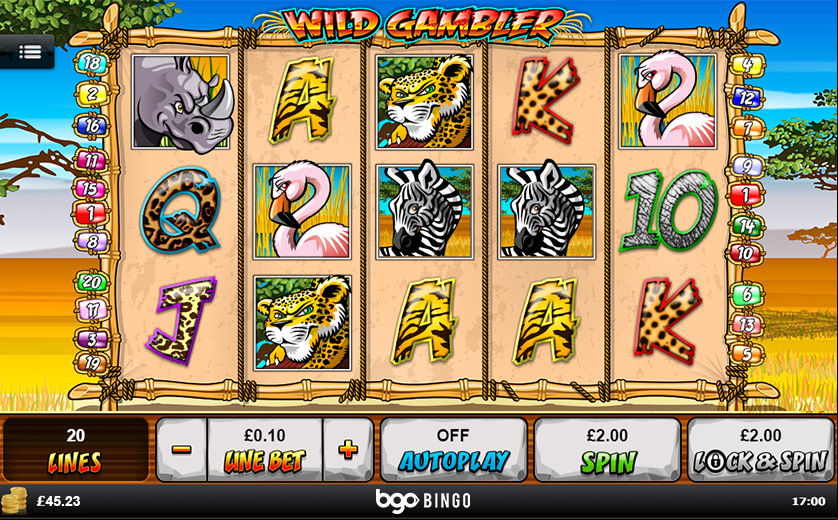 See a Screenshot of ‘Wild Gambler’ Slot, large view